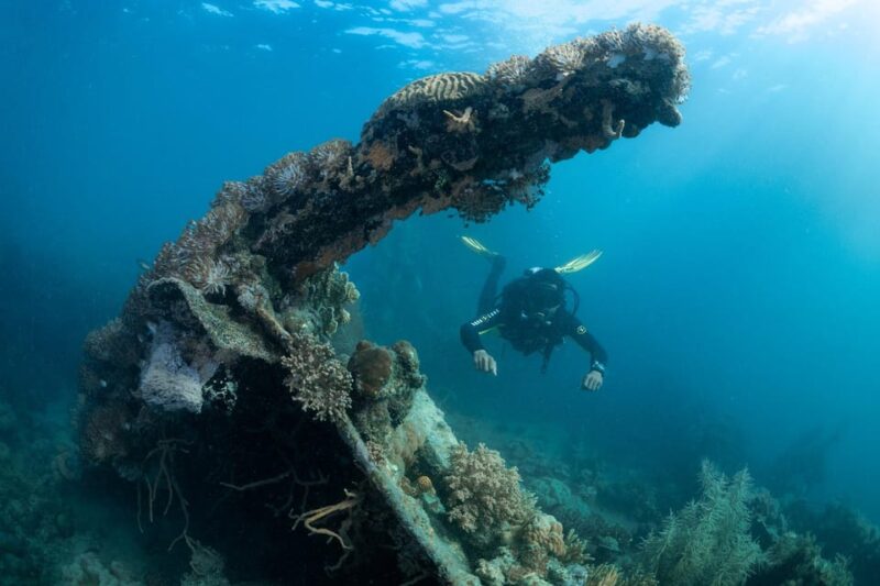Coron Reef and Wrecks Tour (Private Tour) - Transportation and Pickup