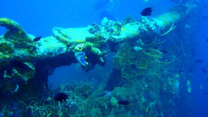 Coron Reef and Wrecks Tour (Private Tour) - Frequently Asked Questions