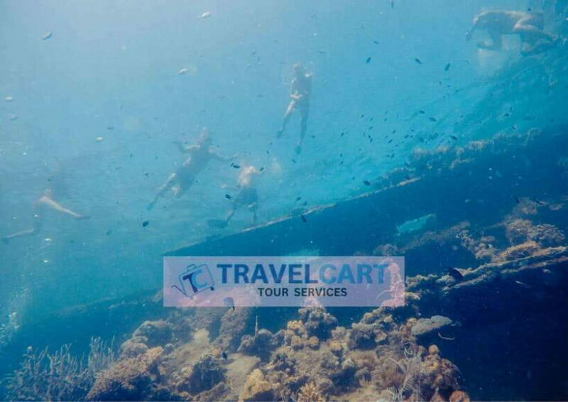 Coron Reef & Wrecks Tour - Key Points