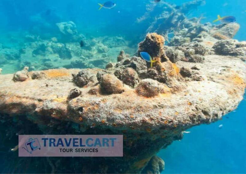 Coron Reef & Wrecks Tour - An In-Depth Look at the Coron Reef & Wrecks Tour