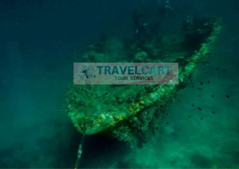Coron Reef & Wrecks Tour - Who Would Enjoy This Tour?