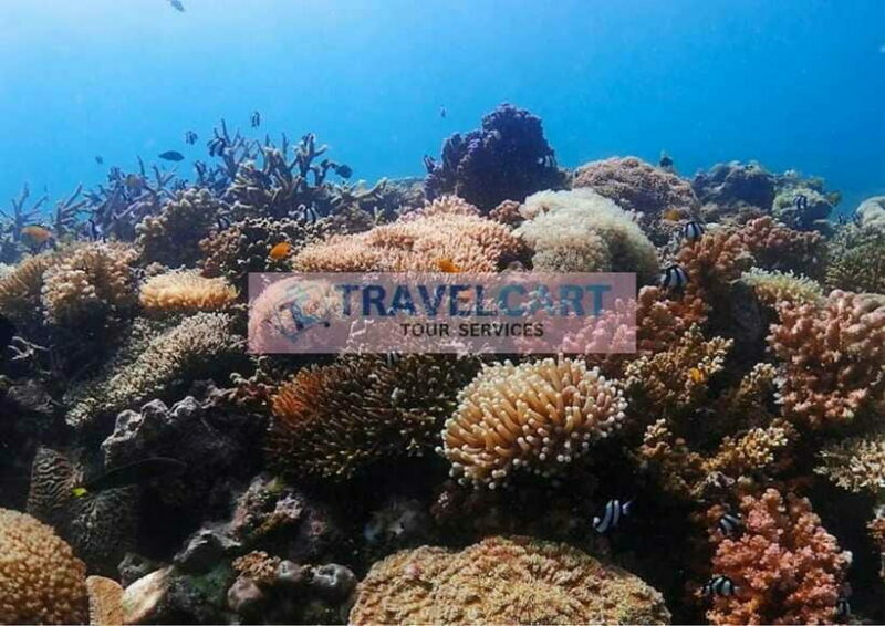 Coron Reef & Wrecks Tour - FAQ