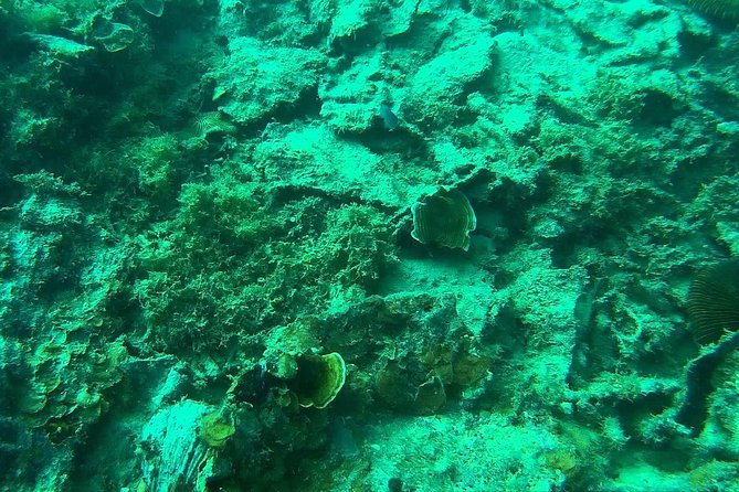 Coron Reefs & Wreck Tour (Shared Tour) - Location and Rating