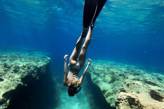 Coron Shipwrecks and Lusong Coral Garden Tour (Private / Shared) - Tour Overview