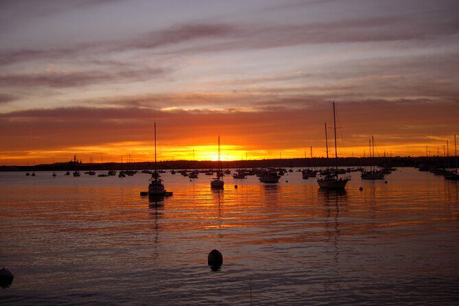 Coronado Bike Tour - What Is the Coronado Bike Tour?