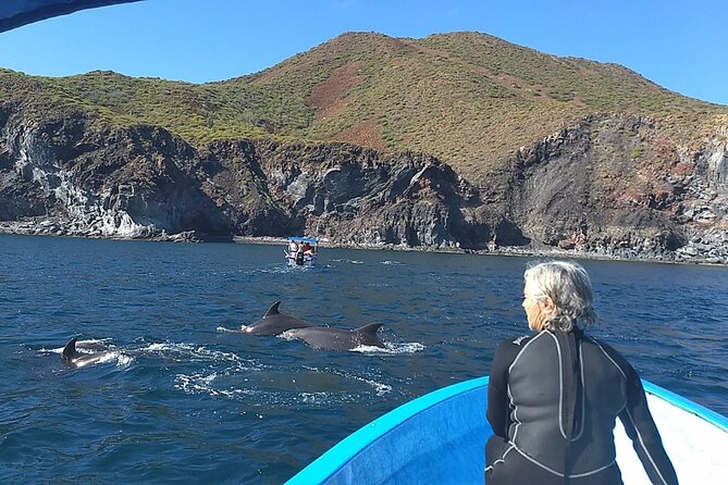 Coronado Island Adventure, Snorkeling & Picnic on the Beach - Snorkeling Equipment and Beach Gear