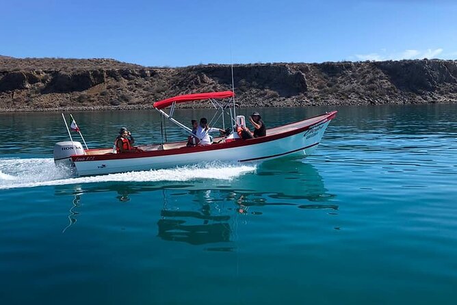 Coronados Island Tour - Activities and Experiences
