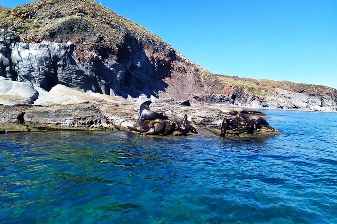 Coronados Island Tour - Logistics and Meeting Point