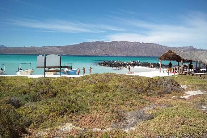 Coronados Island Tour - Weather Considerations and Safety