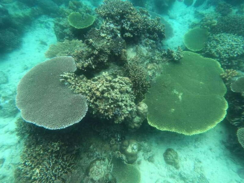 CORON:ISLAND TOUR A Lakes and Snorkeling with Corals - What’s Included and What’s Not?