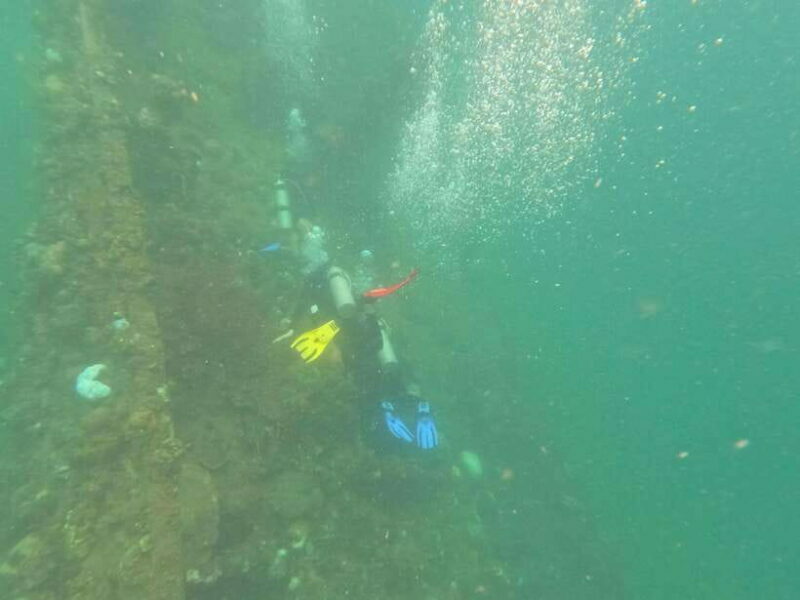 CORON:REEF AND WRECK - 2 JAPANESE WRECK AND PASS ISLAND TOUR - The Real-World Experience (from reviews)