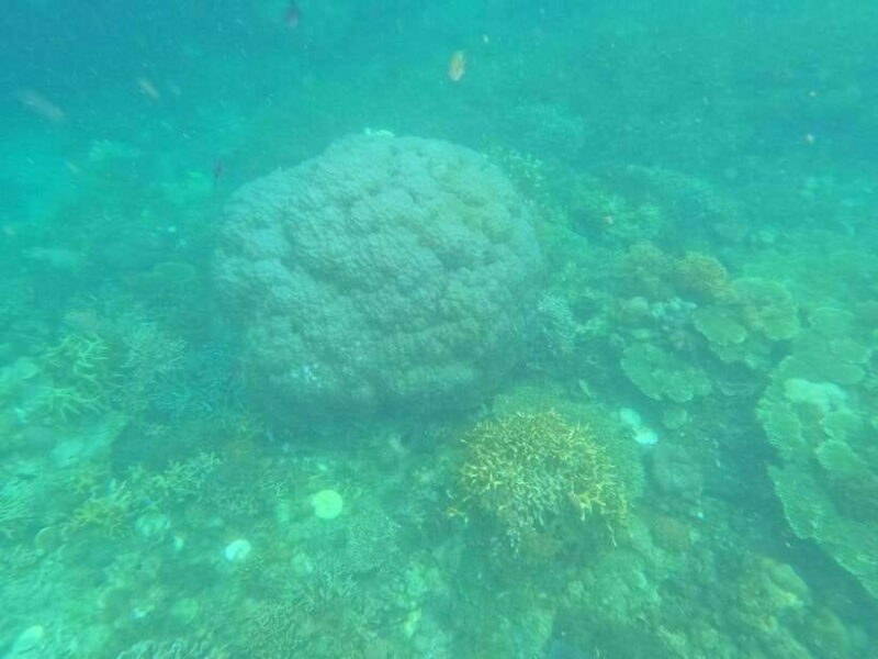 CORON:REEF AND WRECK - 2 JAPANESE WRECK AND PASS ISLAND TOUR - FAQ