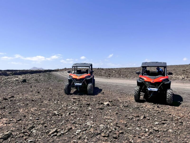 Corralejo Buggy Tour 2 Hours. Family Tours Fuerteventura - Key Points