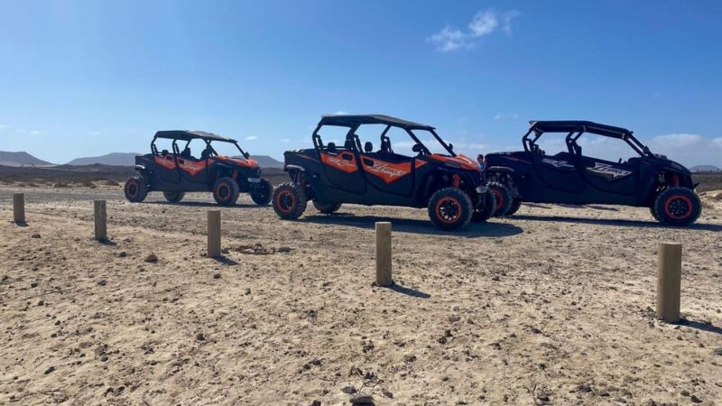 Corralejo Buggy Tour 2 Hours. Family Tours Fuerteventura - Tour Suitability and Restrictions