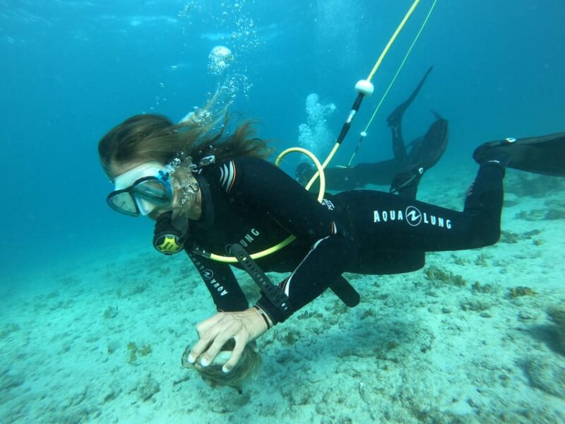 Corralejo: Lobos Island Beginner Snorkel and Dive Boat Tour - Activity Details