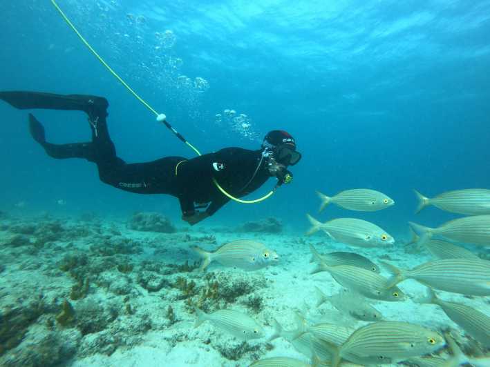 Corralejo: Lobos Island Beginner Snorkel and Dive Boat Tour - Diving Opportunities