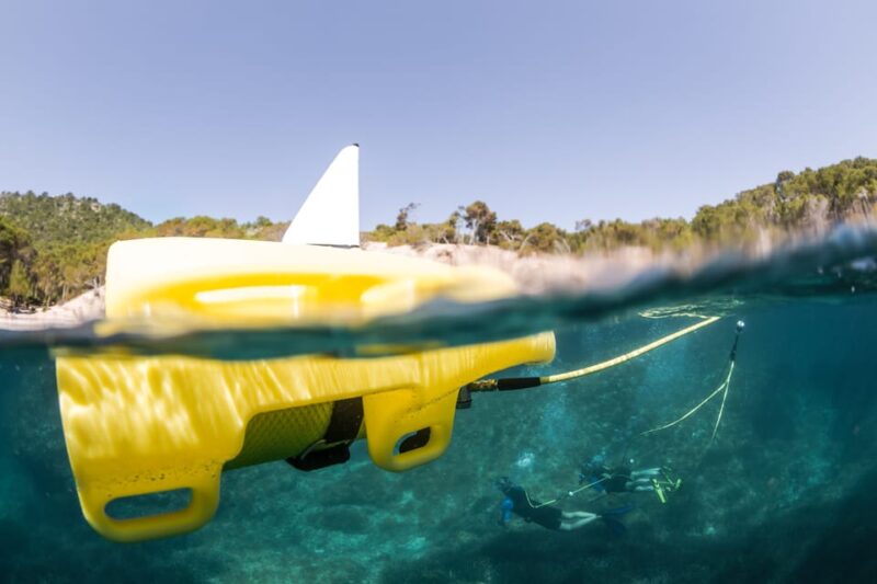 Corralejo: Lobos Island Beginner Snorkel and Dive Boat Tour - Snorkeling Experience