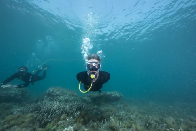 Corralejo: Lobos Island Beginner Snorkel and Dive Boat Tour - Accessibility Information