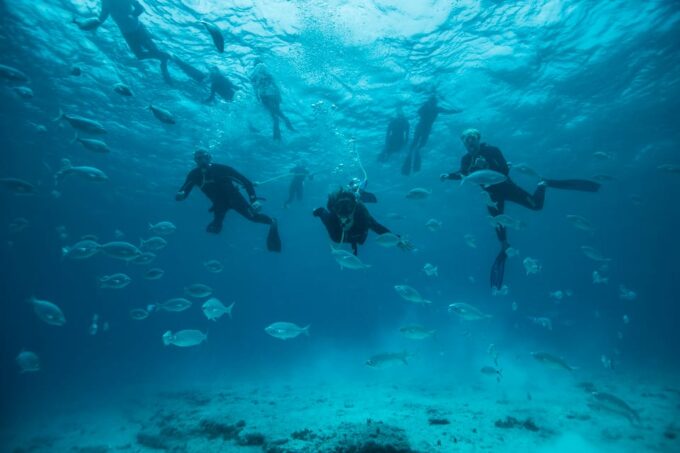 Corralejo: Lobos Island Beginner Snorkel and Dive Boat Tour - Participant Restrictions