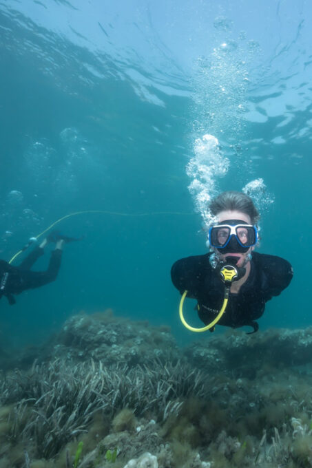 Corralejo: Lobos Island Beginner Snorkel and Dive Boat Tour - Frequently Asked Questions