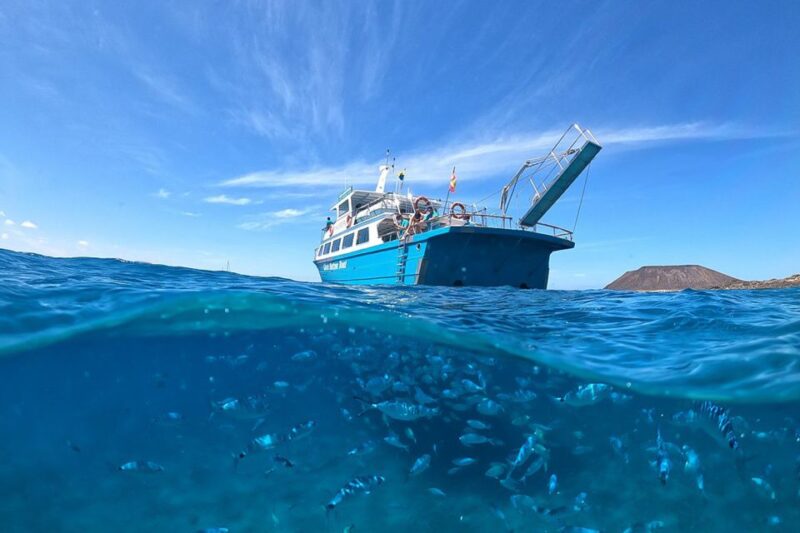 Corralejo: Lobos Island Boat and Snorkel Activity With Entry - Key Points