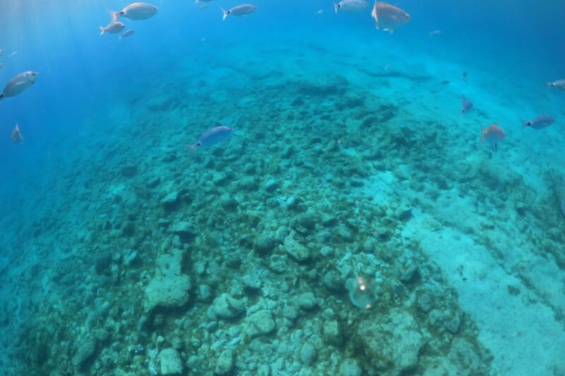 Corralejo: Lobos Island Boat and Snorkel Activity With Entry - Meeting Point and Parking