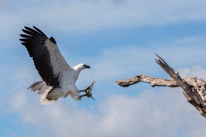 Corroboree Billabong 2.5 Hour Lunch Cruise - Delectable Onboard Lunch