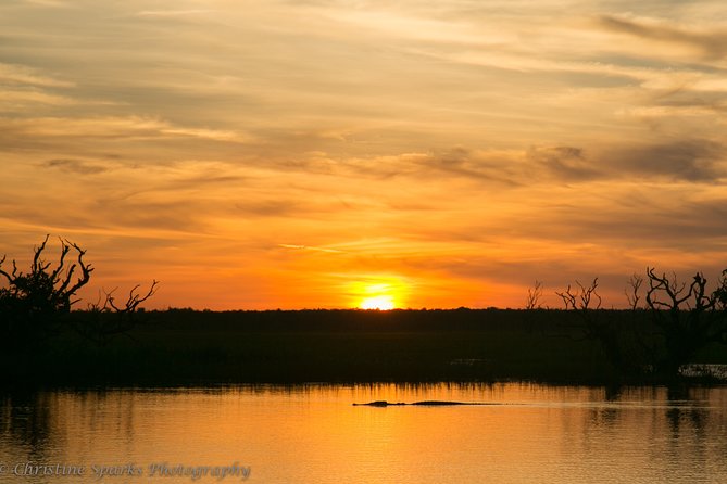 Corroboree Billabong Wetland Cruises - 2 Hour Sunset Cruise - Guided Commentary by Experts