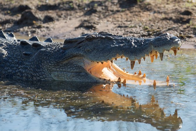 Corroboree Billabong Wetland Cruises - 2 Hour Sunset Cruise - Accessibility for All Travelers