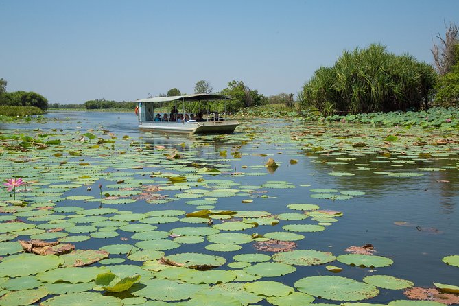 Corroboree Billabong Wetland Cruises - 2 Hour Sunset Cruise - Maximum Capacity of 29