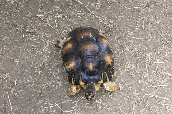 Corsica A Cupulatta Turtle Park Skip the Line Admission Ticket - Booking and Cancellation Policy