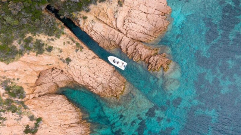 Corsica: Calanques De Piana-Capo Rosso Boat Trip/Snorkeling - Marine Life Viewing Opportunities