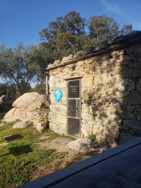Corsica: Organic Wine Tasting & Local Lunch - The Tasting Experience