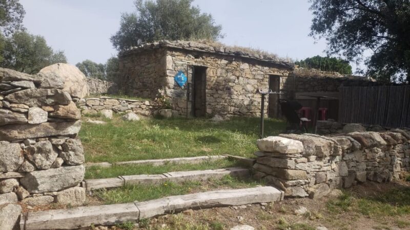 Corsica: Organic Wine Tasting & Local Lunch - The Sheepfold Tasting Venue