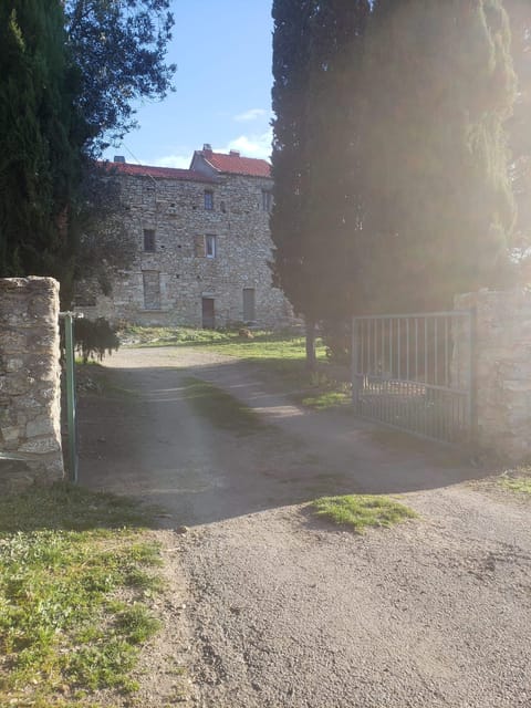 Corsica: Organic Wine Tasting & Local Lunch - The History of the Estate