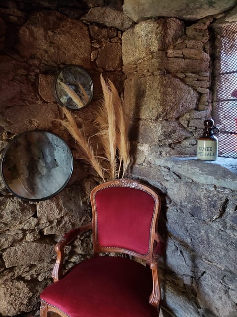 Corsica: Organic Wine Tasting & Local Lunch - Experience Highlights