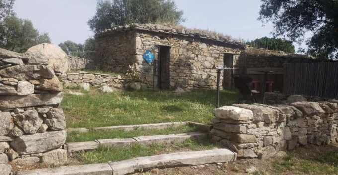 Corsica: Organic Wine Tasting & Local Lunch - Endemic Grape Varieties