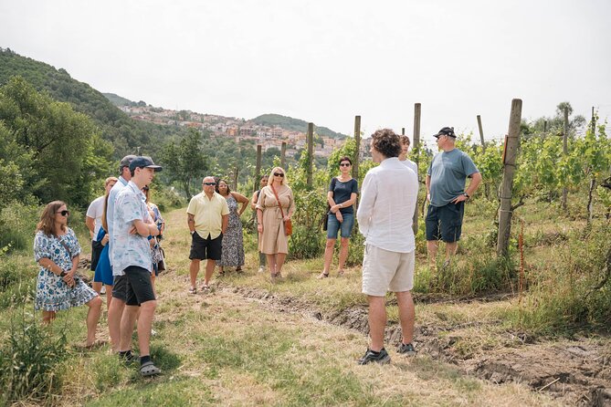 Cortecorbo Winery: Pizza Cooking Class, Lunch & Wine Tasting - Amenities for Guests