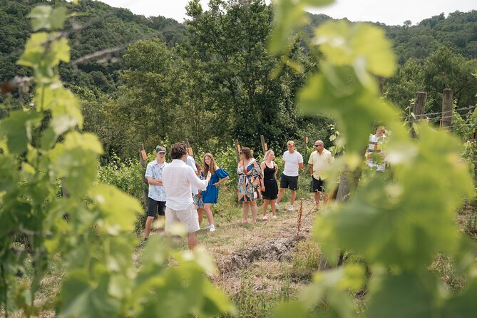 Cortecorbo Winery: Pizza Cooking Class, Lunch & Wine Tasting - Customer Reviews and Feedback