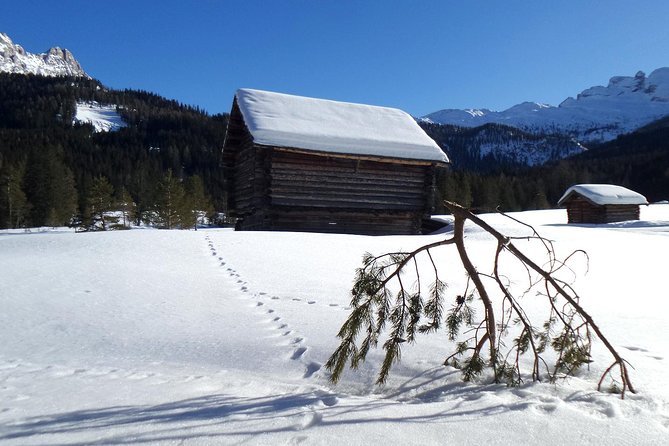 Cortina Dolomites: Winter Hiking & Sledding Experience - Included in the Experience