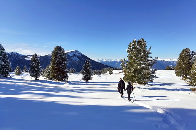 Cortina Dolomites: Winter Hiking & Sledding Experience - Booking Logistics