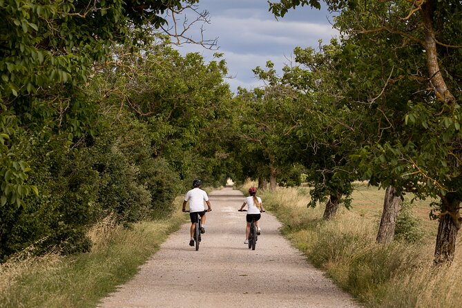 Cortona - Ebike Tour and Wine Tasting in the Val Di Chiana [+40€] - Meeting Point and Pickup
