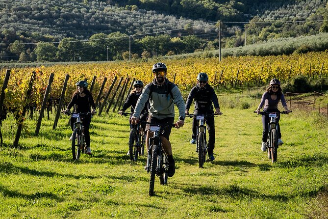 Cortona - Ebike Tour and Wine Tasting in the Val Di Chiana [+40€] - Wheelchair Accessibility
