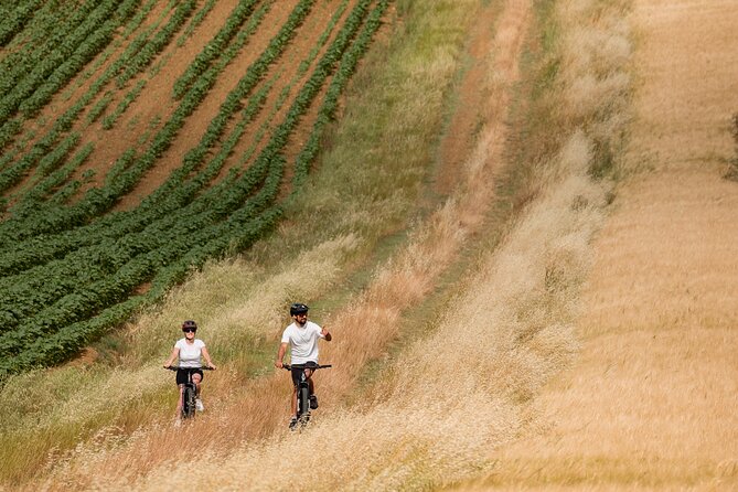 Cortona - Ebike Tour and Wine Tasting in the Val Di Chiana [+40€] - Health Restrictions