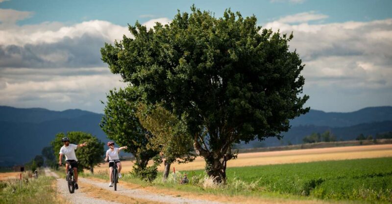 Cortona: Val Di Chiana E-Bike Tour With Optional Wine Lunch - Key Points