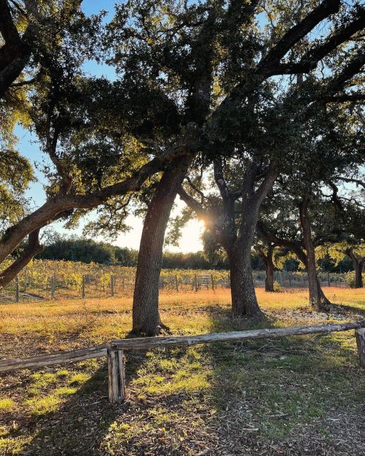 Cost-Effective Texas Hill Country Wine and Brewery Tour - Convenience and Comfort
