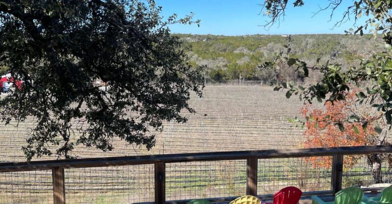 Cost-Effective Texas Hill Country Wine and Brewery Tour - Inclusions and Exclusions