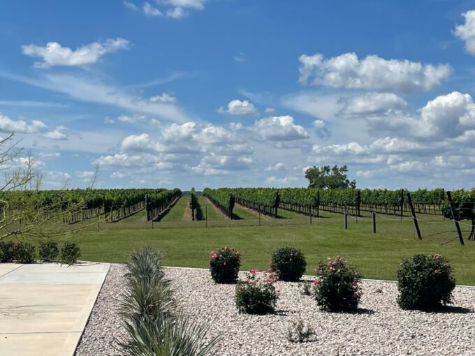 Cost-Effective Texas Hill Country Wine and Brewery Tour - Frequently Asked Questions