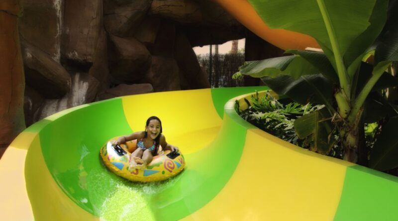 Costa Adeje: Aqualand Water Park Ticket With Dolphin Show - Visitor Ratings and Feedback