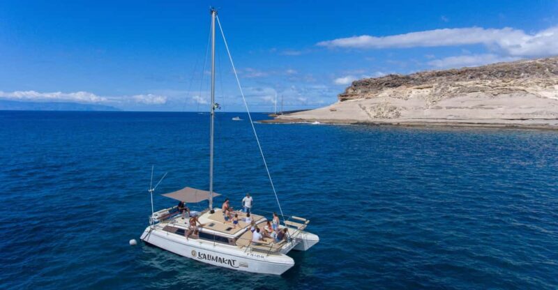 Costa Adeje: Catamaran Tour, Snorkelling, Snacks & Drinks - Experience Highlights